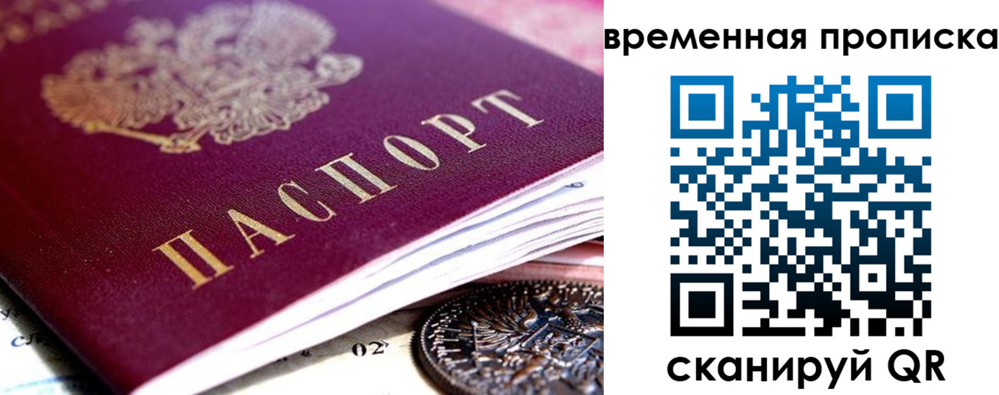 временная прописка в Коле